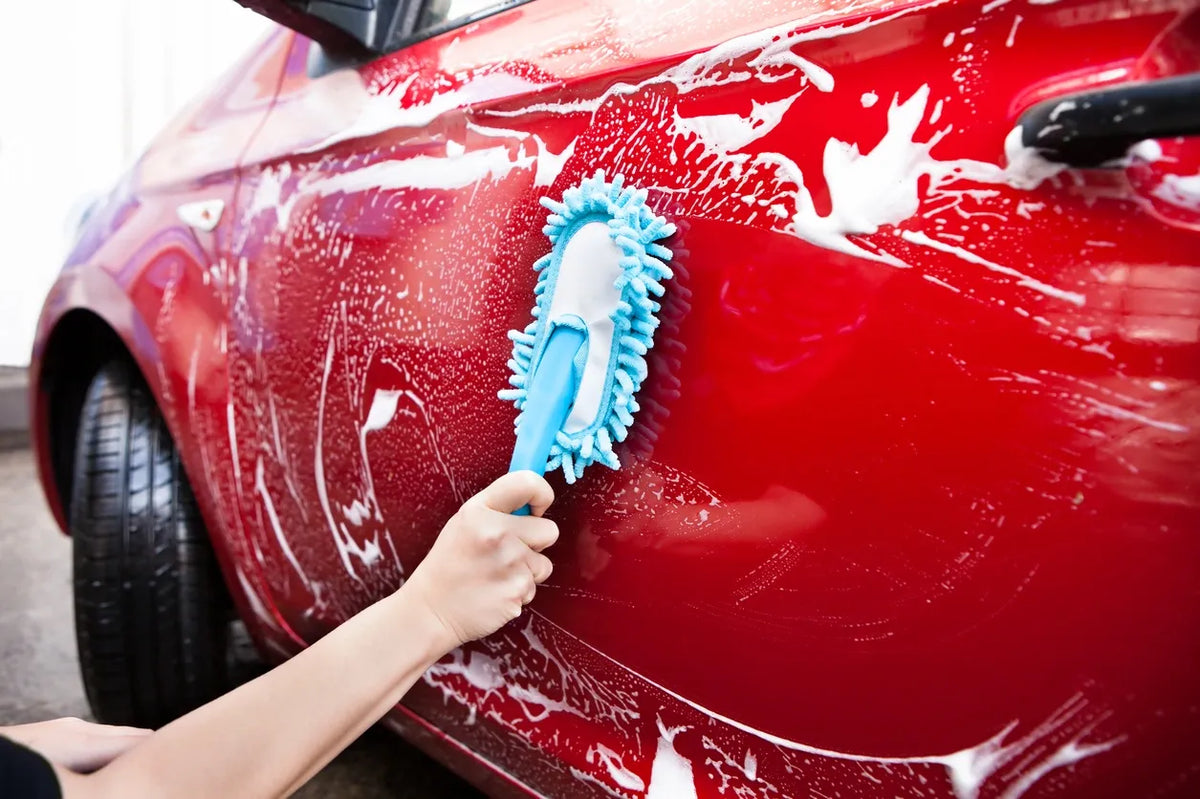 Cleaning & Photography